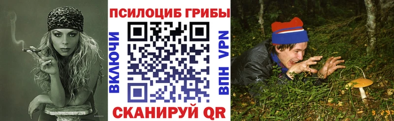 Галлюциногенные грибы ЛСД  Купить где  Лосино-Петровский 